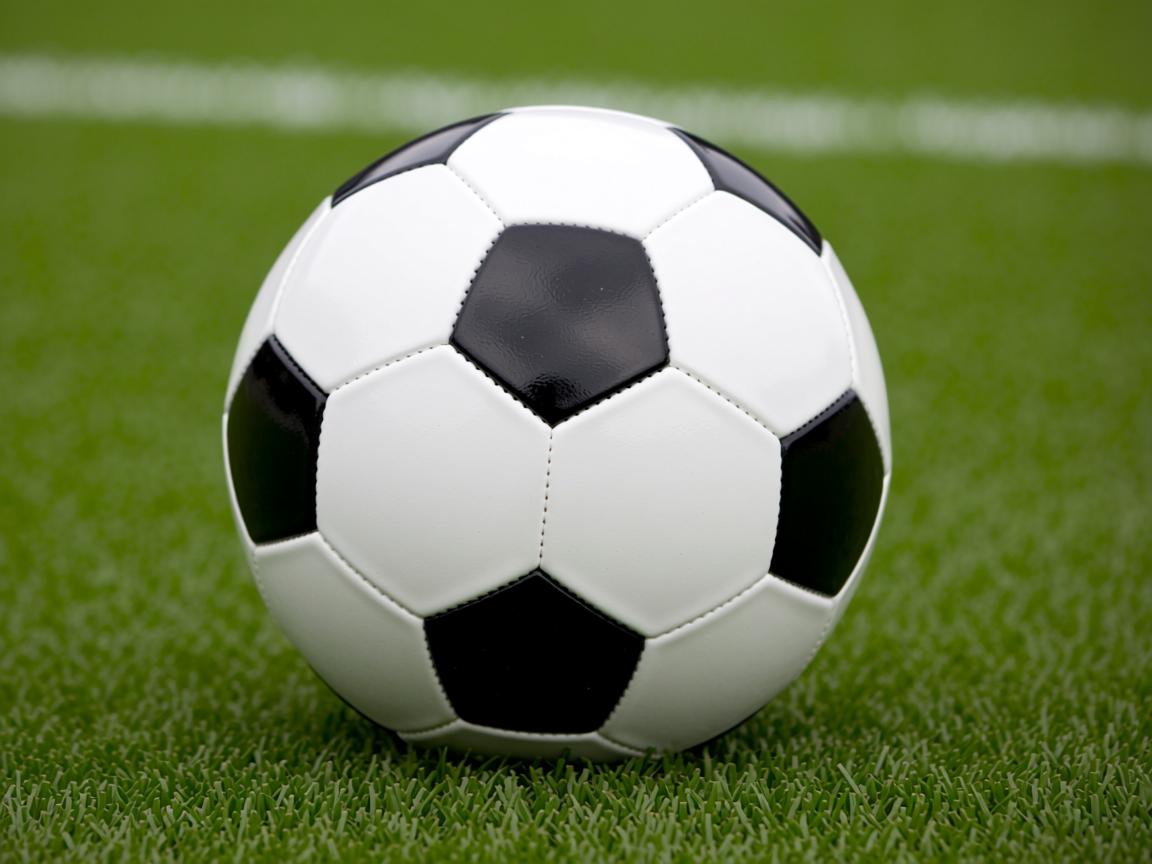 开云体育app官网-CBA球队实施科学训练数据追踪，cba 训练  第2张