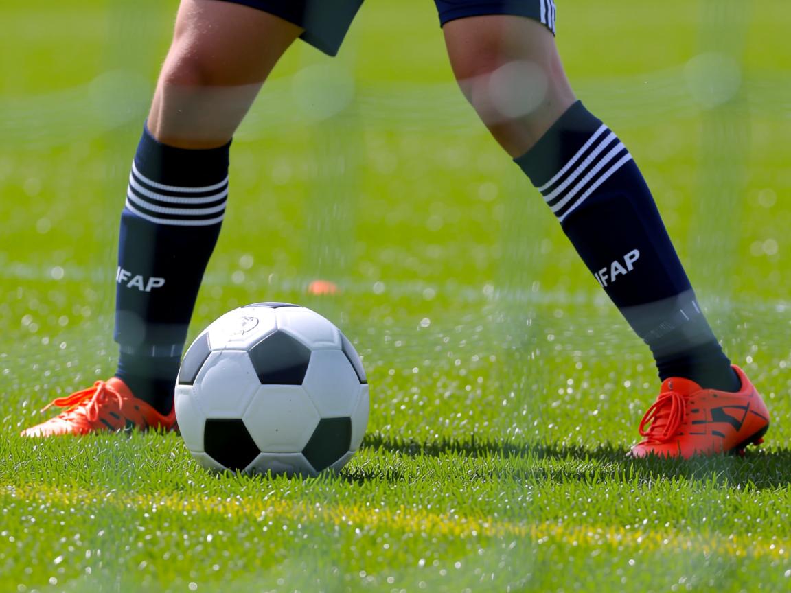 开云体育官网上-“六人制袋棍球：成都七中东部赛场点燃青春与活力”  第1张