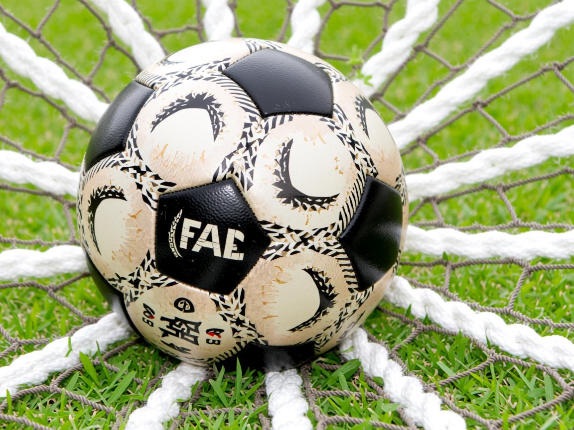 开云体育在线入口-亚洲杯中国女足逆袭 球员状态稳定发挥，中国女足亚军阵容